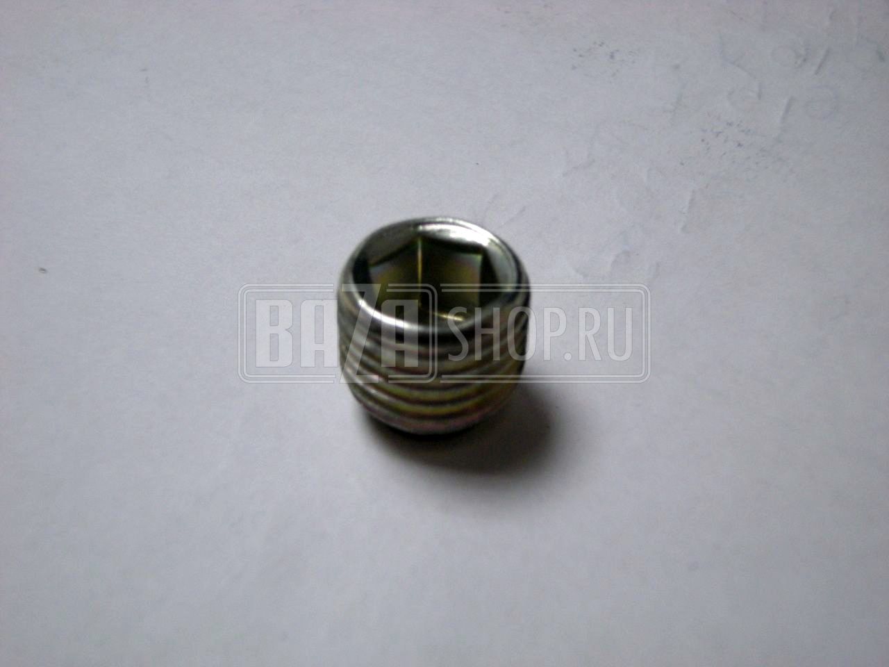 Пробка блока цилиндров дв.ЗМЗ 406, 409 КГ 1/4" (масляной магистрали, металл) ЗМЗ** / 296562-П29